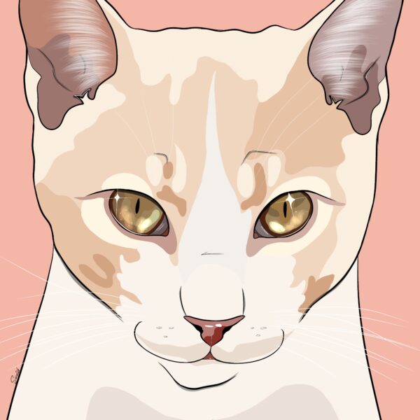 Ilustración Digital Personalizada