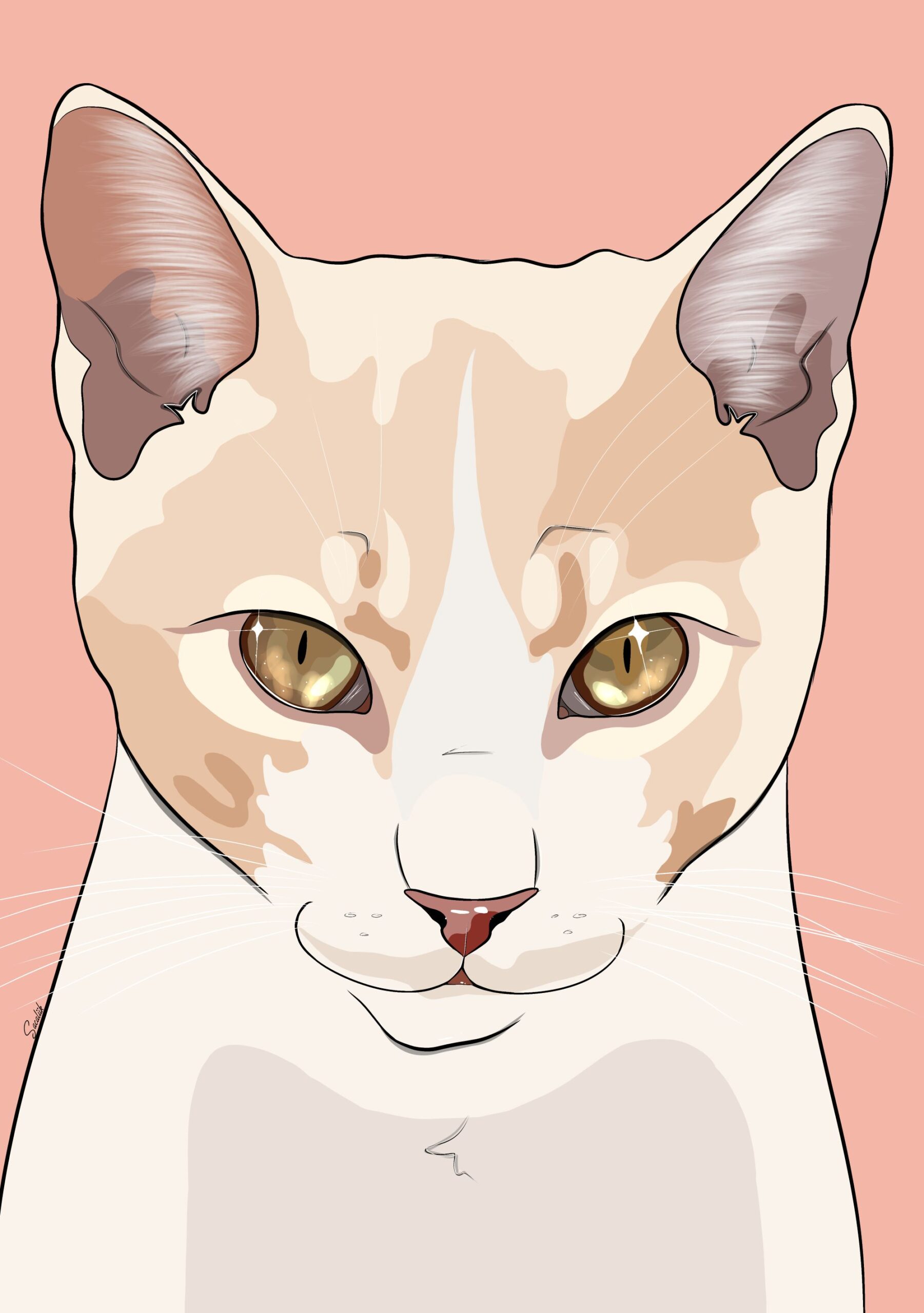 ilustracion-digital-gato